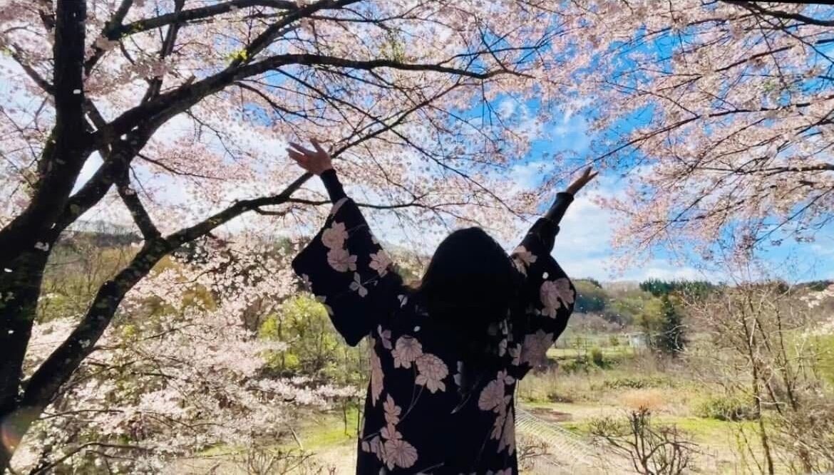 A person standing in front of cherry blossom trees.