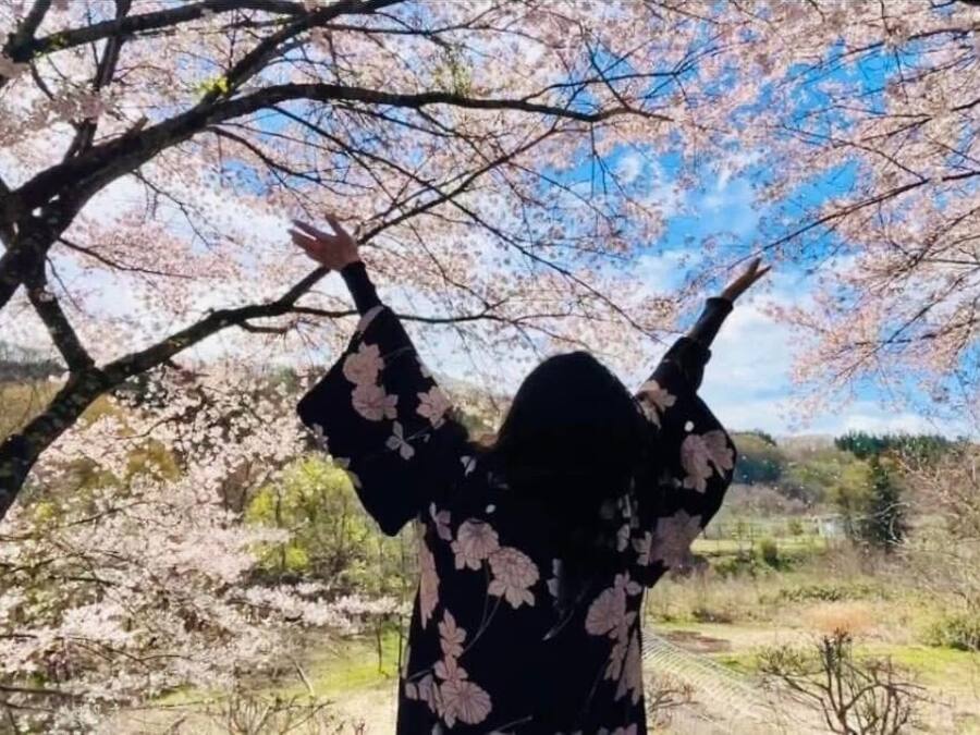 A person standing in front of cherry blossom trees.
