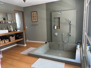 Shower, hair dryer, towels - Villa de standing piscine 4-bedroom villa with WiFi, AC in fantastic Marseille (Marseille)