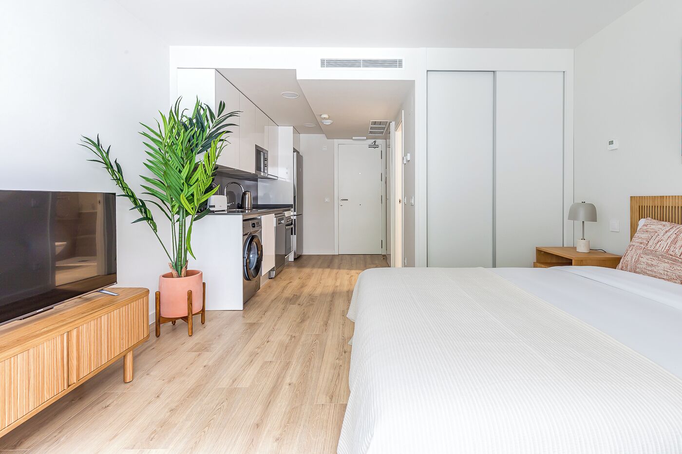 Habitación de hotel moderna con una cama grande, televisor, espacio para cocinar y una planta en maceta.