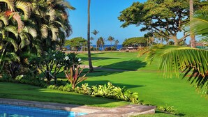 Un campo de golf bien cuidado con vistas claras al océano de fondo.