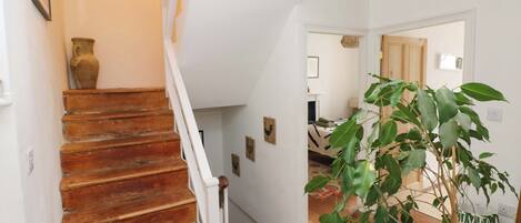Una escalera de madera que conduce a una habitación con una planta y una alfombra.