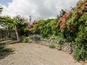 المنطقة المحيطة بالمنشأة