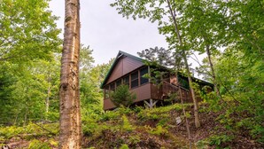 Une cabane au cœur d’une forêt, surélevée sur des piliers, entourée d’un feuillage dense.