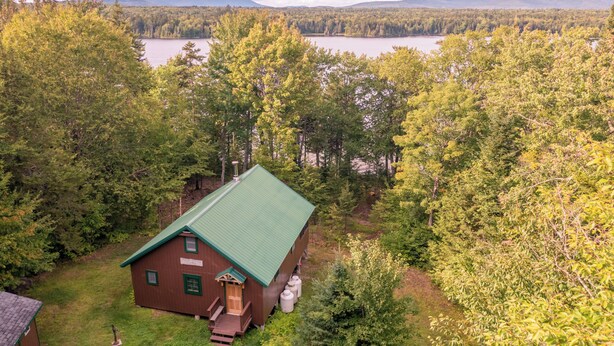 Une cabane dotée d’un toit végétalisé, entourée d’une forêt dense, avec un lac en arrière-plan.