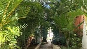 Un sentier bordé d’une végétation luxuriante et verdoyante, qui mène à un bâtiment doté de grandes fenêtres.