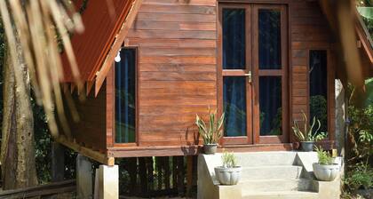 VR Nature Cottage