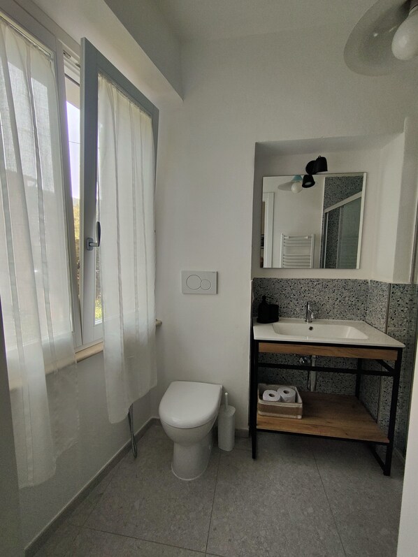 Shower, toilet paper