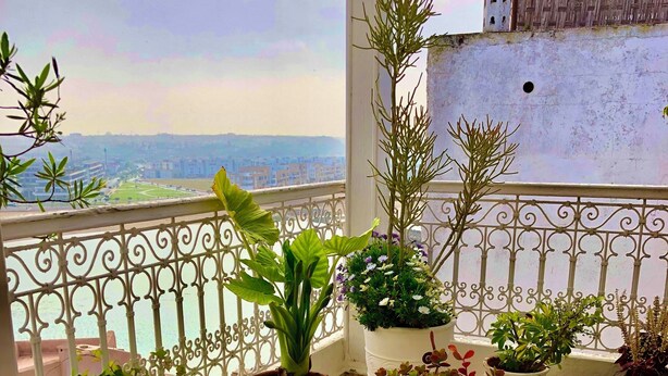 A balcony with a wicker chair, a small table, and various potted plants.