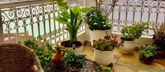 Idyllic house with terrace in the heart of Les Oudayas