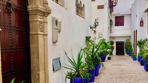 A narrow, paved alleyway with a row of potted plants on one side and a large, ornate door on the other.