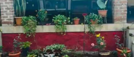 A covered outdoor seating area with blue benches and potted plants.