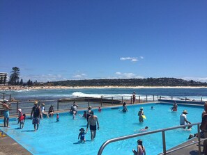 Pool - Coastal getaway,Tropical palms Dee Why (Dee Why)