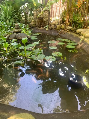 A pond with water lilies and fish, surrounded by rocks and greenery.