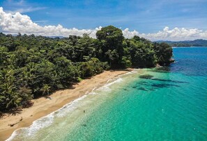 A tropical beach with clear turquoise waters and dense green foliage.