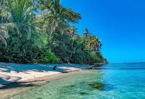 A beach with clear turquoise water, sandy shore, and dense tropical vegetation.