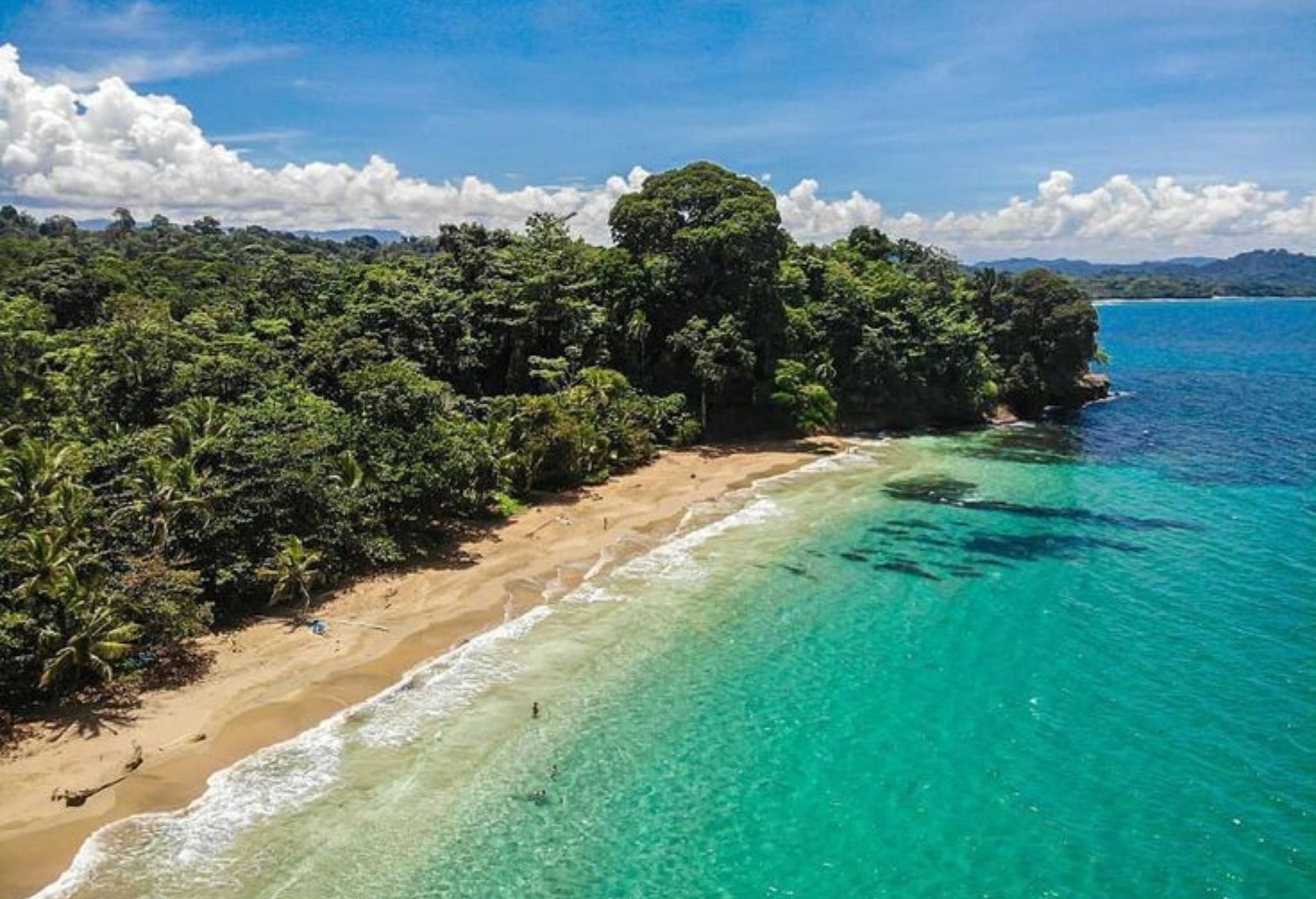 A tropical beach with clear turquoise waters and dense green foliage.