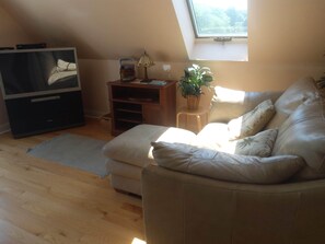 Fernseher, DVD-Player