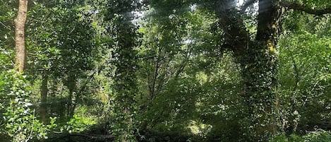 住宿场地
