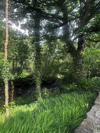 Property grounds. bed and breakfast 10 minutes from clifden town, peaceful and private