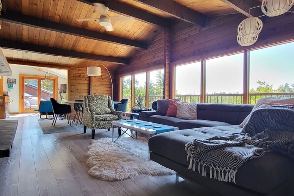 Smart TV, fireplace, books, stereo