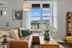 Smart TV, fireplace, DVD player, books