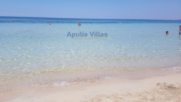 Una spiaggia con acqua cristallina e persone che nuotano.