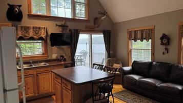 TV, video games, video library