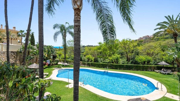 A swimming pool surrounded by palm trees and greenery, with a clear view of the ocean in the background.