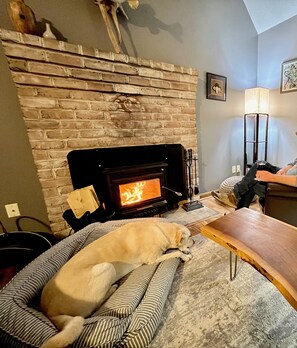 TV, fireplace - Ridgetop Retreat- Minutes from Town, Dog Friendly, Wood Fireplace (Berkeley Springs)