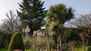A garden with a variety of plants, a wooden pergola, and a neatly trimmed hedge.
