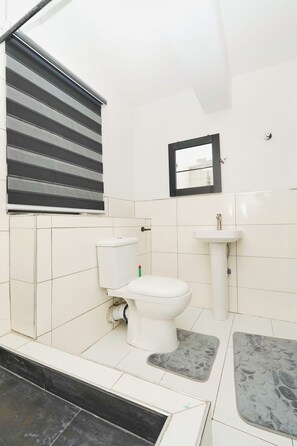 Dusch, bidé, handdukar och toalettpapper