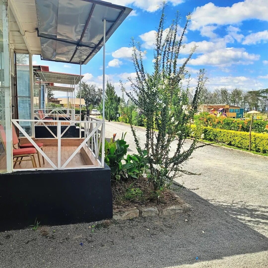A covered outdoor seating area with chairs and a table, surrounded by greenery and a clear sky.