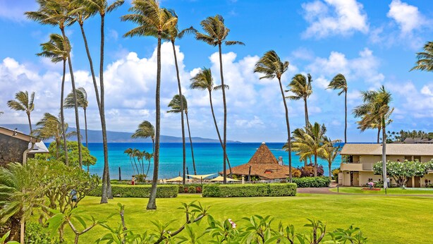 A resort with a lawn, palm trees, and a view of the ocean. - Napili Shores G258 Studio Condo Condo (lahaina)