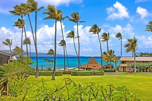 Estúdio | Área da propriedade