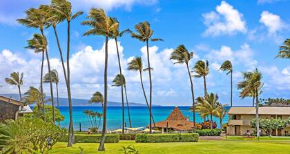 Napili Shores G258 Studio Condo Condo