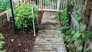 Ein hölzerner Weg in einem Garten, begrenzt von einer weißen Umzäunung und üppigem Grün.