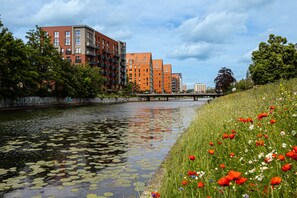 Une vue sur le fleuve, avec des bâtiments modernes, un pont et une zone verdoyante parsemée de coquelicots rouges.