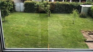 A window view of a backyard with a grassy lawn, a small tree, and a shed. - Charming apartment, ideal for longer stays and families (Kiel)