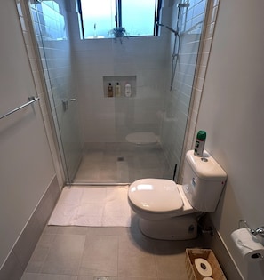 Hair dryer, towels, soap, toilet paper - The Retreat. Modern Cosy Stylish (Cameron Park)