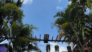 Ein traditionelles Gebäude mit Ziegeldach, umgeben von üppigem Grün und blauem Himmel.