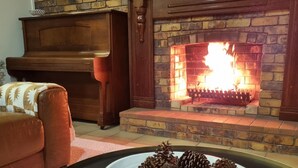 A cozy living room with a fireplace, a sofa, and a table with pine cones. - Doug's Place - Spectacular Views + Tennis Court (Nindaroo)
