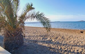 A sandy beach with a palm tree and a clear view of the sea.