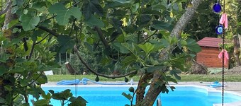 Carina in Toscana, garden apartment with private pool in beautiful Garfagnana.