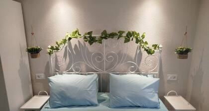 Liana s Stylish House