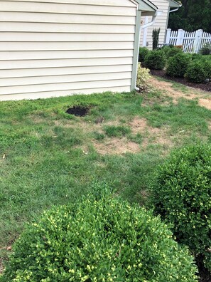 Jardines del alojamiento