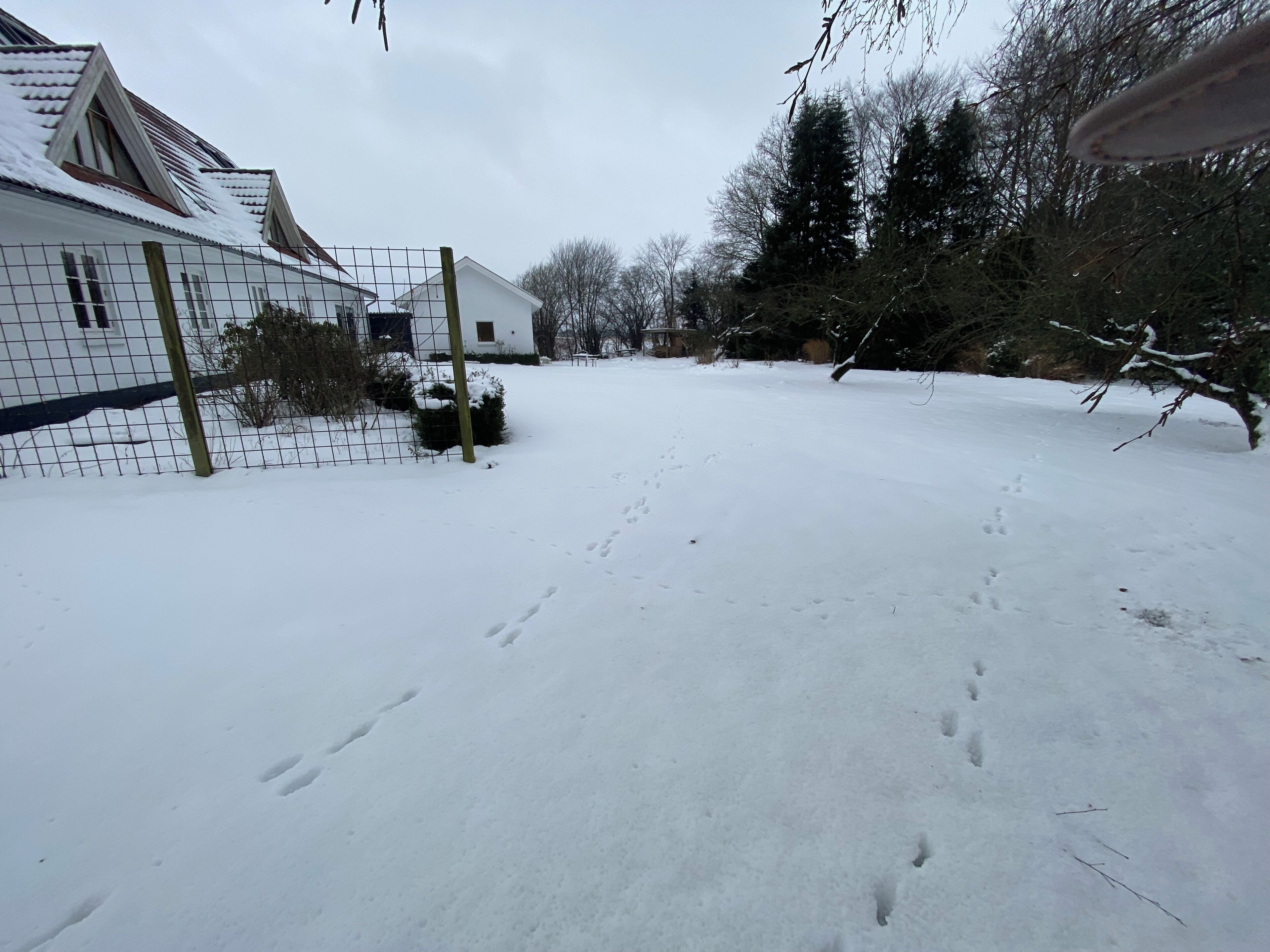 Eksteriør