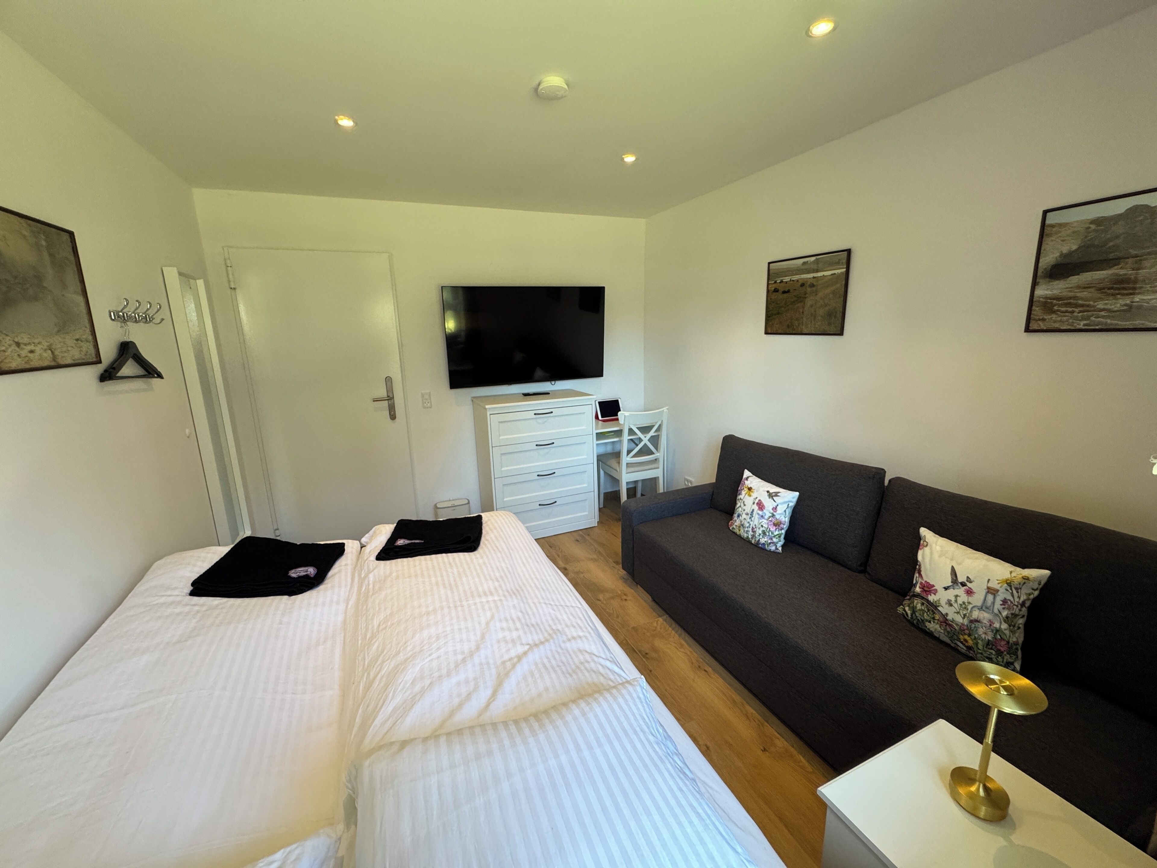A bedroom with two beds, a TV, a desk, a sofa, and a small table.