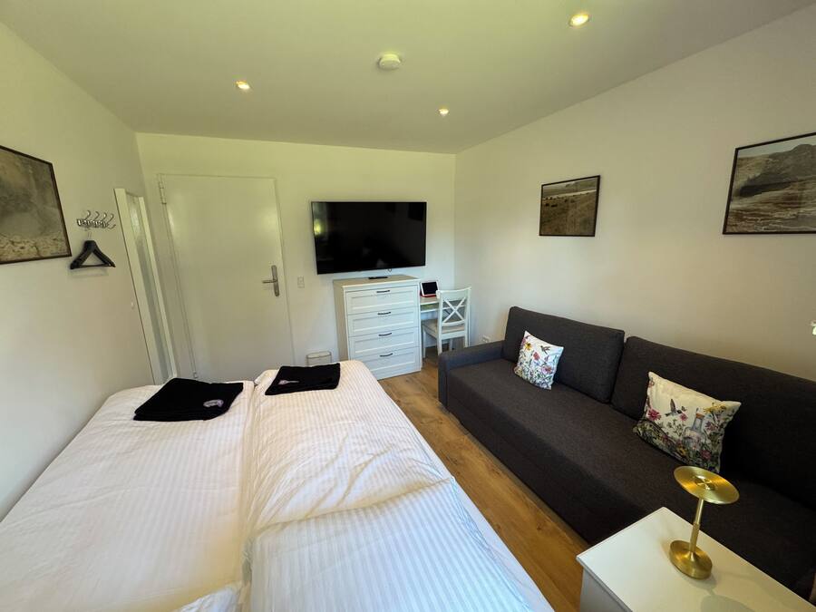 A bedroom with two beds, a TV, a desk, a sofa, and a small table.