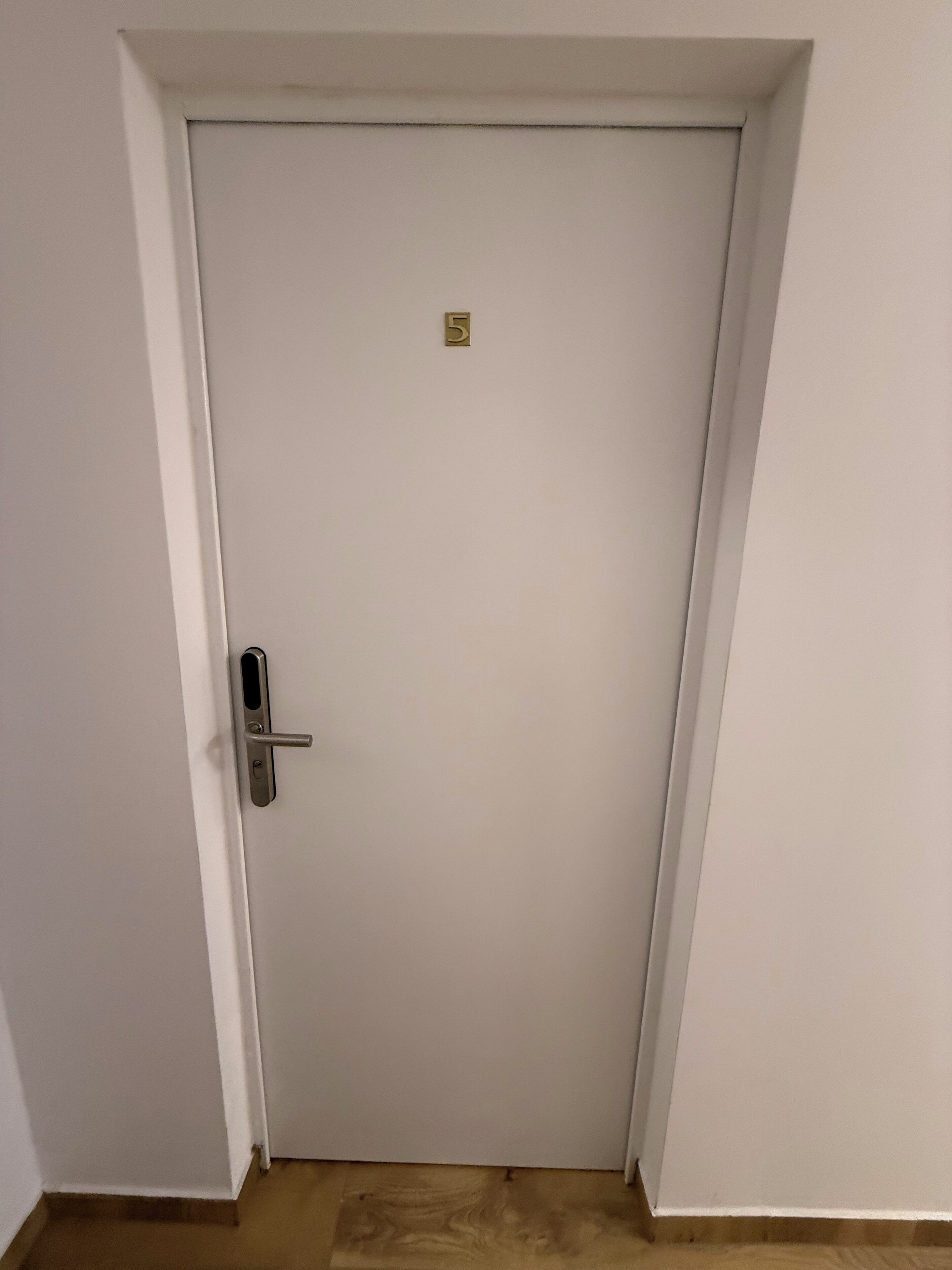 Puerta blanca cerrada con una pequeña placa de latón encima y un pomo moderno.